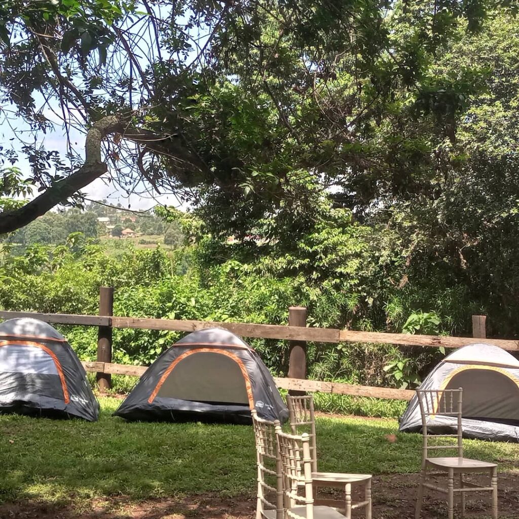 Tents set up for camping in the grounds of Bungee Uganda